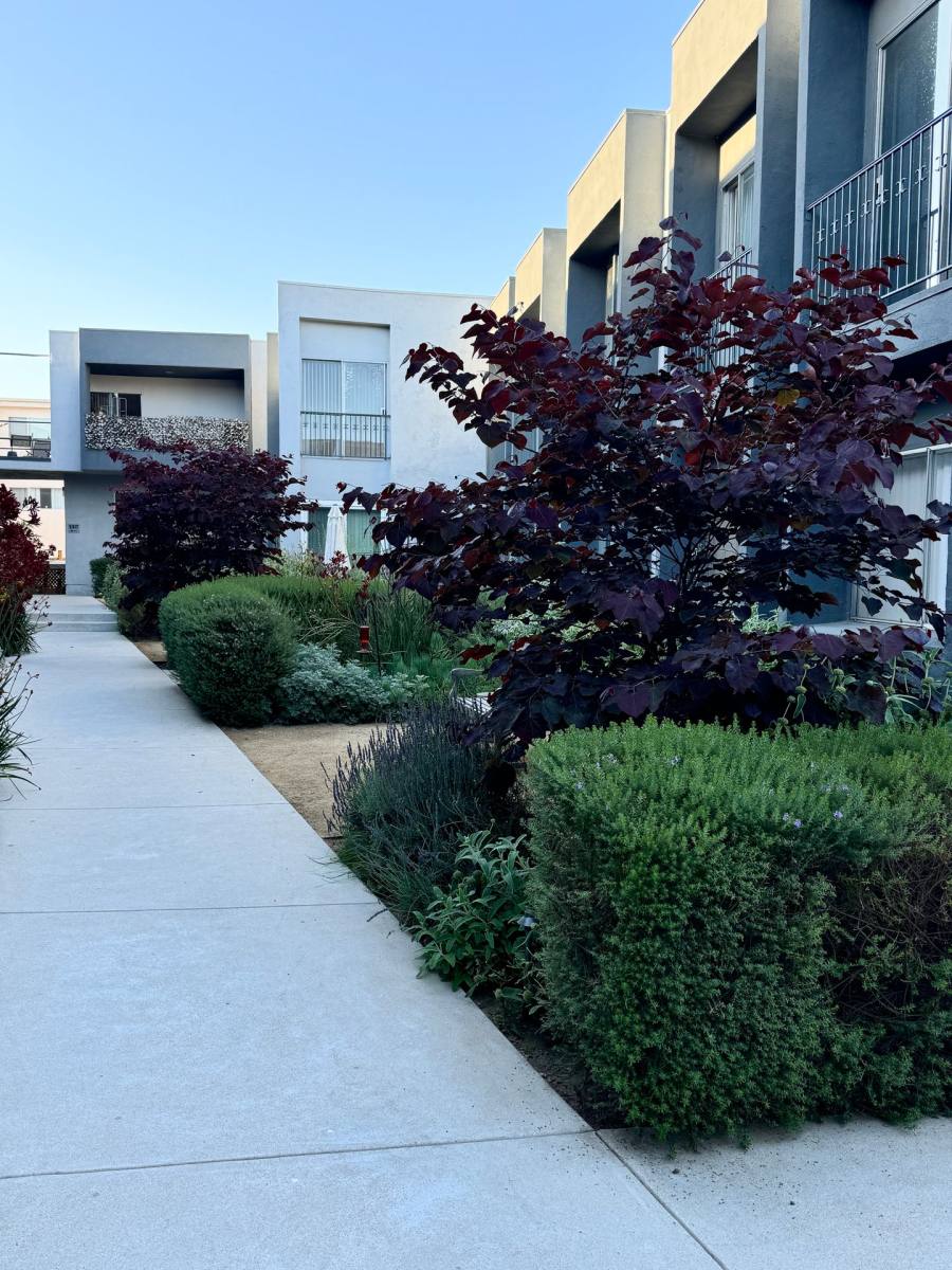 Apartment for rent at 4617 Willis Ave, Sherman Oaks, CA 91403