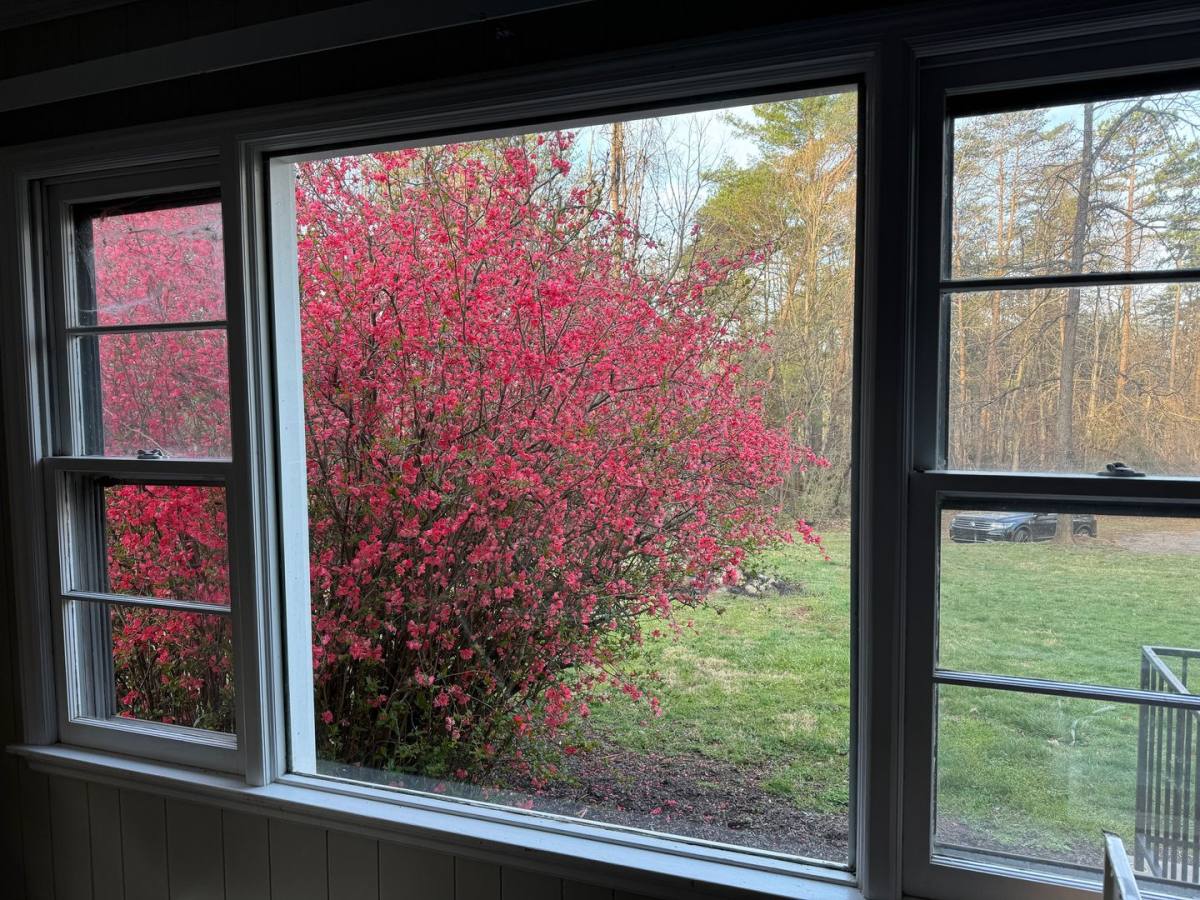 Apartment for rent at 331 Gashes Creek Rd, Asheville, NC 28803