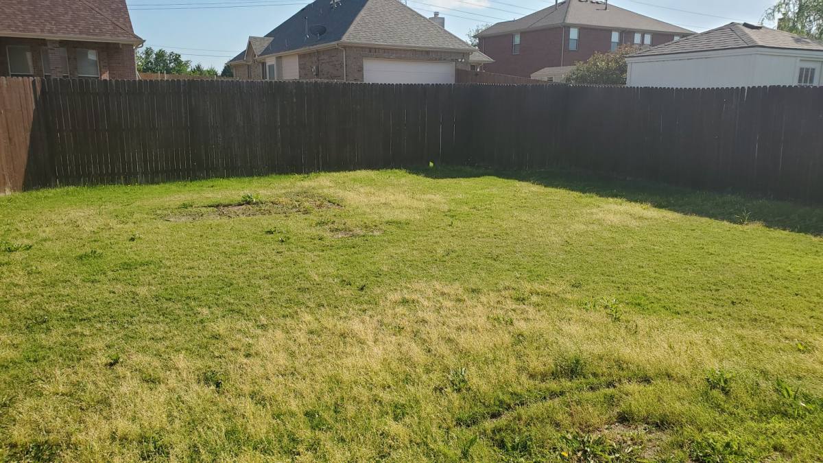House for rent at 1125 Northwood Lane, Royse City, TX 75189