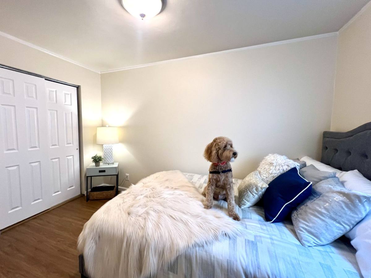Apartment for rent at 620 19th Ave E, Seattle, WA 98112