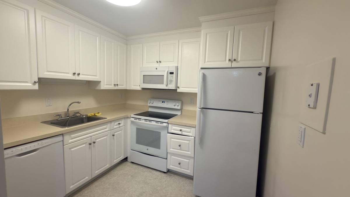 Apartment for rent at 35 Vernon St #207, Brookline, MA 02446