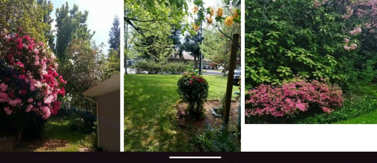 House for rent at 640 SE Williams Rd, Gresham, OR 97080