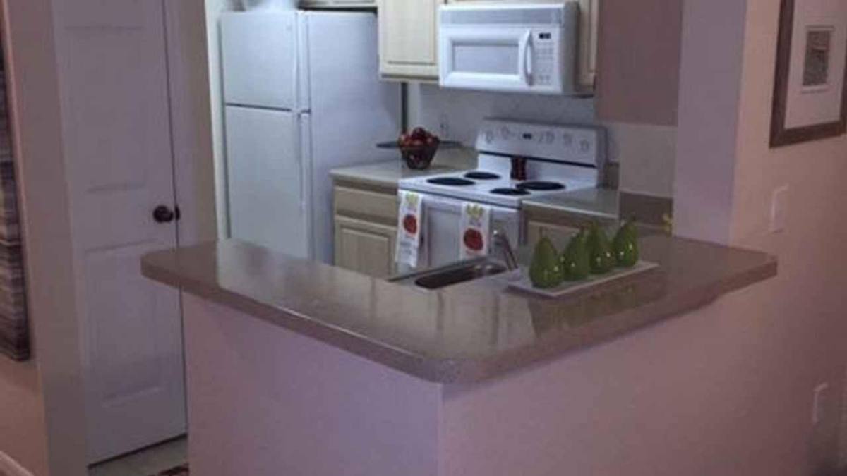 Apartment for rent at Westly Park, 6105 Paddock Glen Dr, Tampa, FL 33634