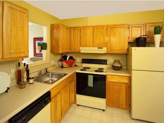 Apartment for rent at Soma at the T, 15 Bismarck St, Mattapan, MA 02126