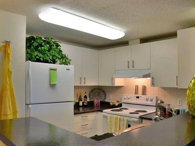 Apartment for rent at Eaves Quincy, 150 Quarry St, Quincy, MA 02169