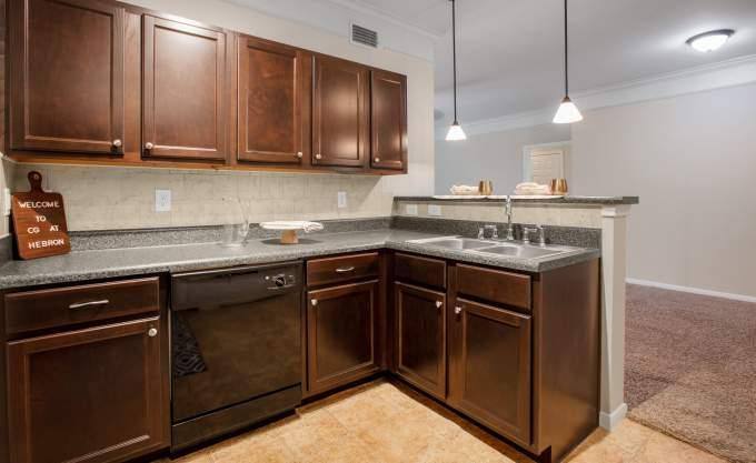 Apartment for rent at 1701 E Hebron Parkway, Carrollton, TX 75010