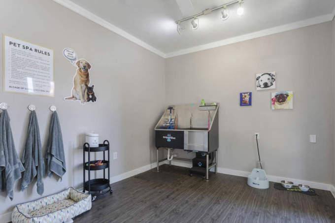 Apartment for rent at 3501 N Jupiter Rd, Richardson, TX 75082