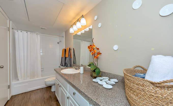 Apartment for rent at 14645 Las Flores Dr, Dallas, TX 75254