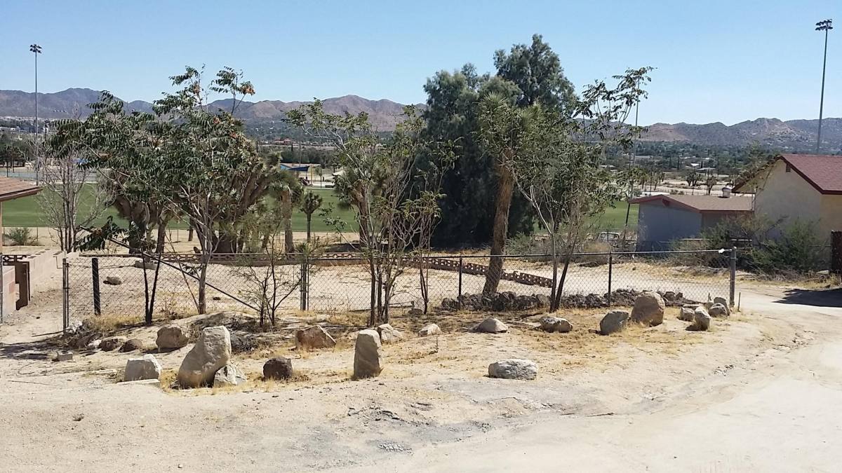 House for rent at 56565 Sunnyslope Dr, Yucca Valley, CA 92284
