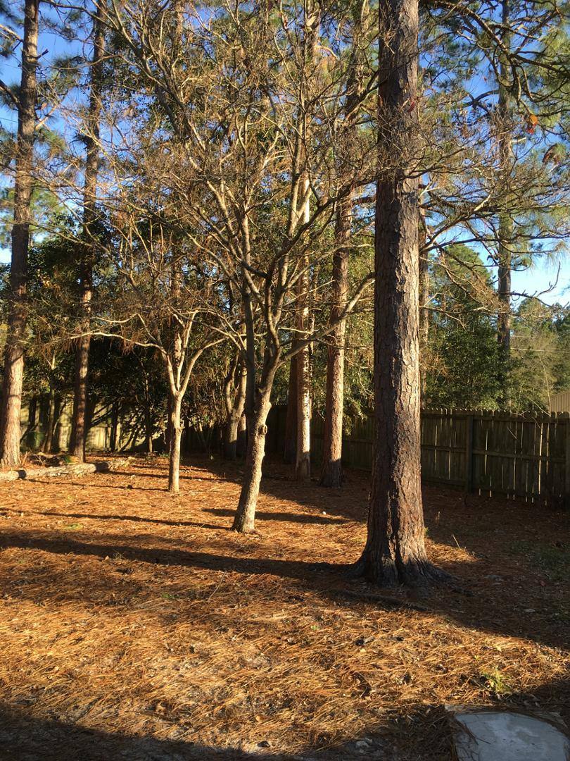 House for rent at Northwest Woods, 474 Elm St, Hinesville, GA 31313