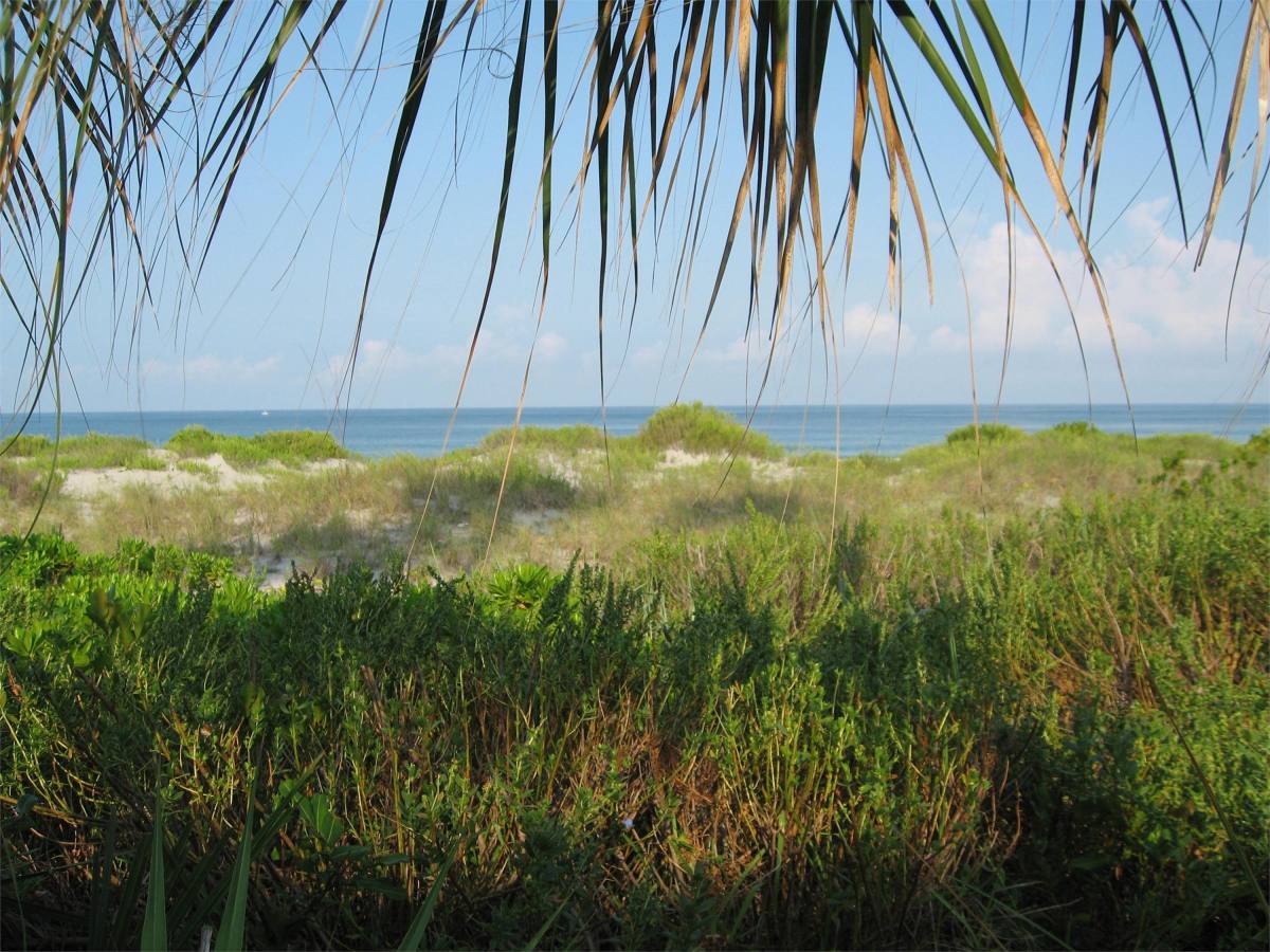 Condo for rent at Aldea Mar Village By the Sea, 500 Park Blvd S #64, Venice, FL 34285