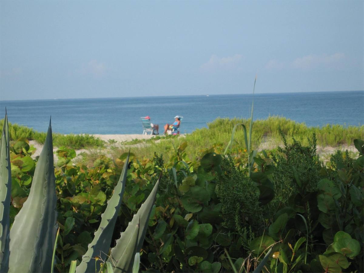 Condo for rent at Aldea Mar Village By the Sea, 500 Park Blvd S #64, Venice, FL 34285