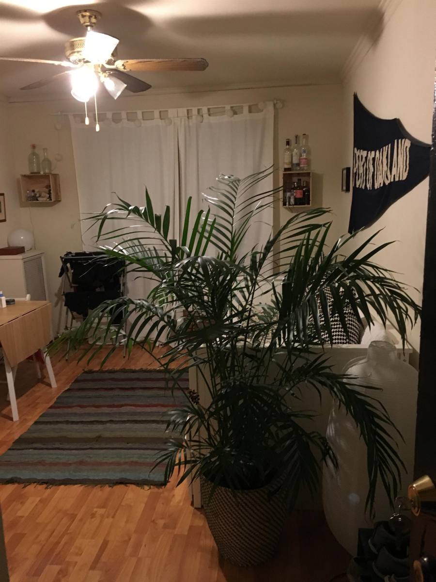 Apartment for rent at 633 W Deming Place #202, Chicago, IL 60614