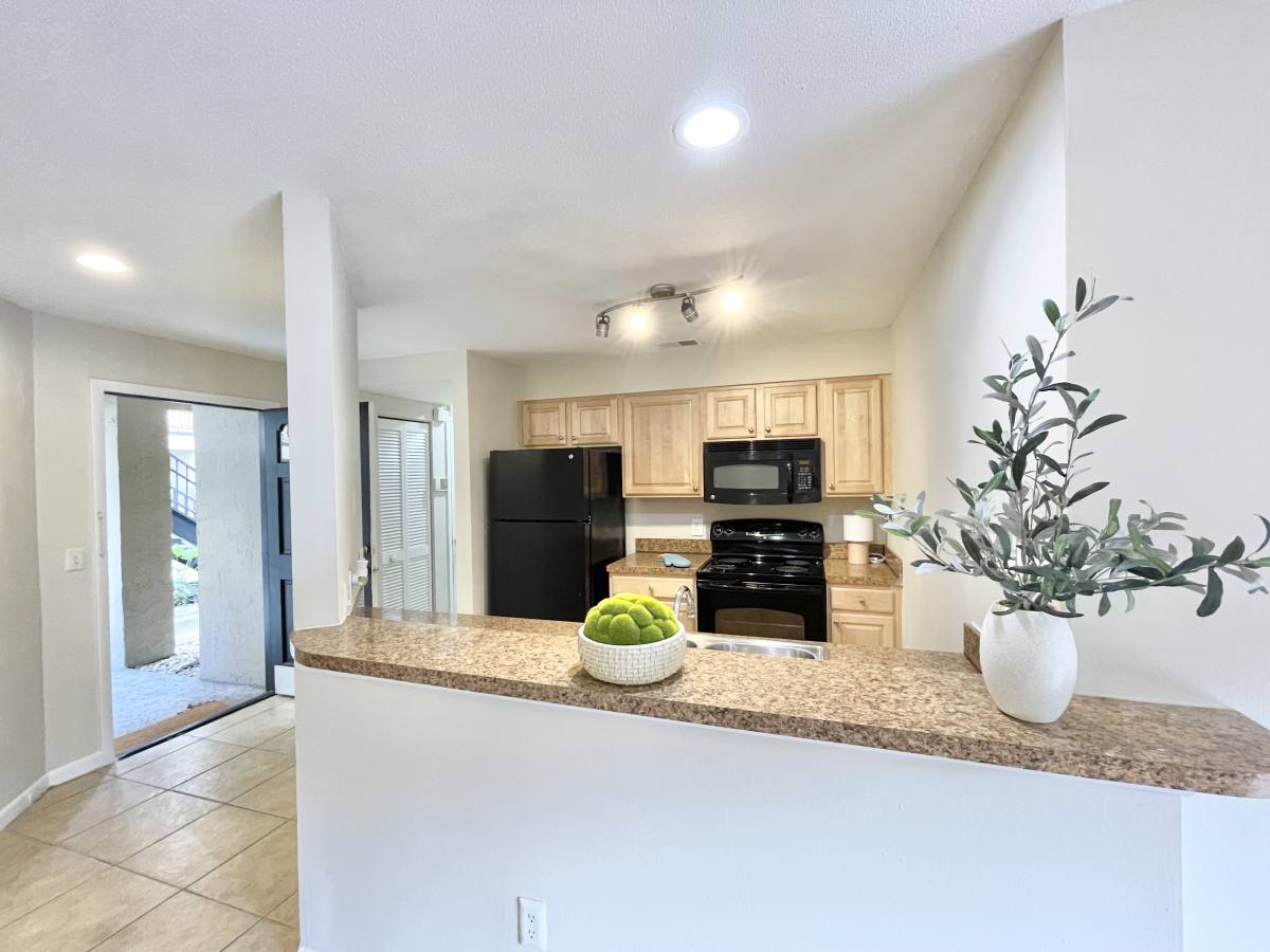 Condo for rent at 208 S Habana Ave, Tampa, FL 33609