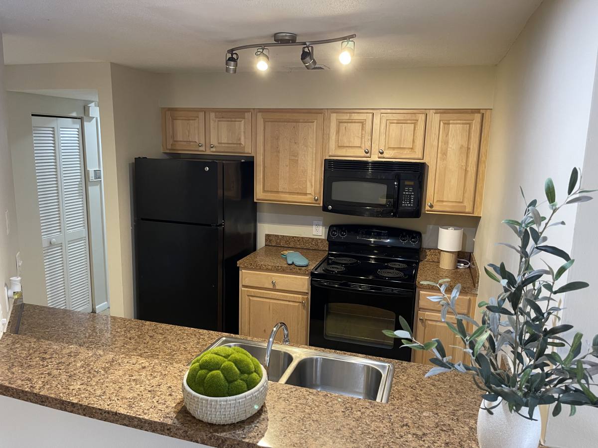 Condo for rent at 208 S Habana Ave, Tampa, FL 33609
