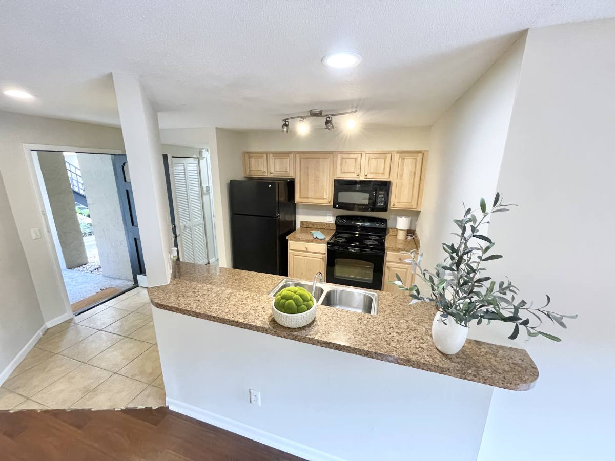 Condo for rent at 208 S Habana Ave, Tampa, FL 33609
