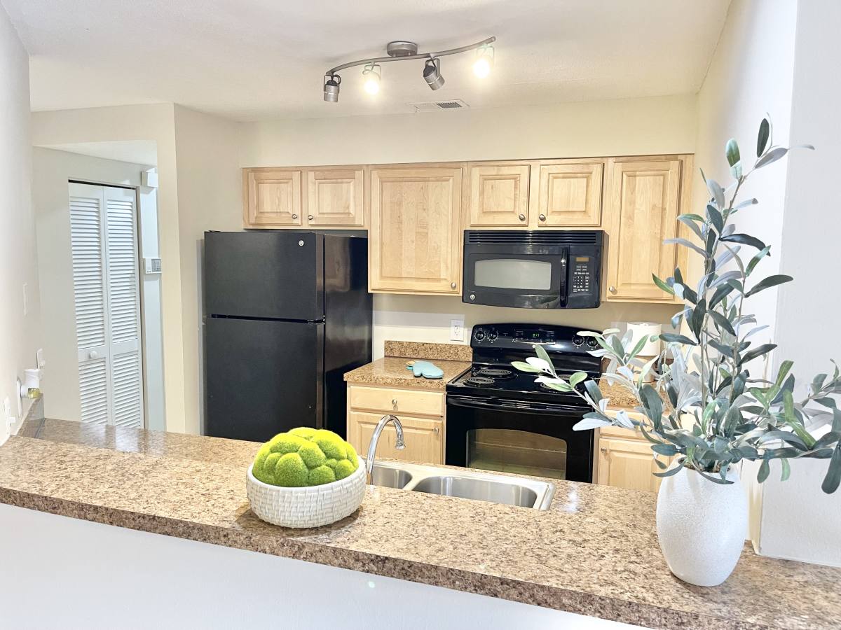 Condo for rent at 208 S Habana Ave, Tampa, FL 33609