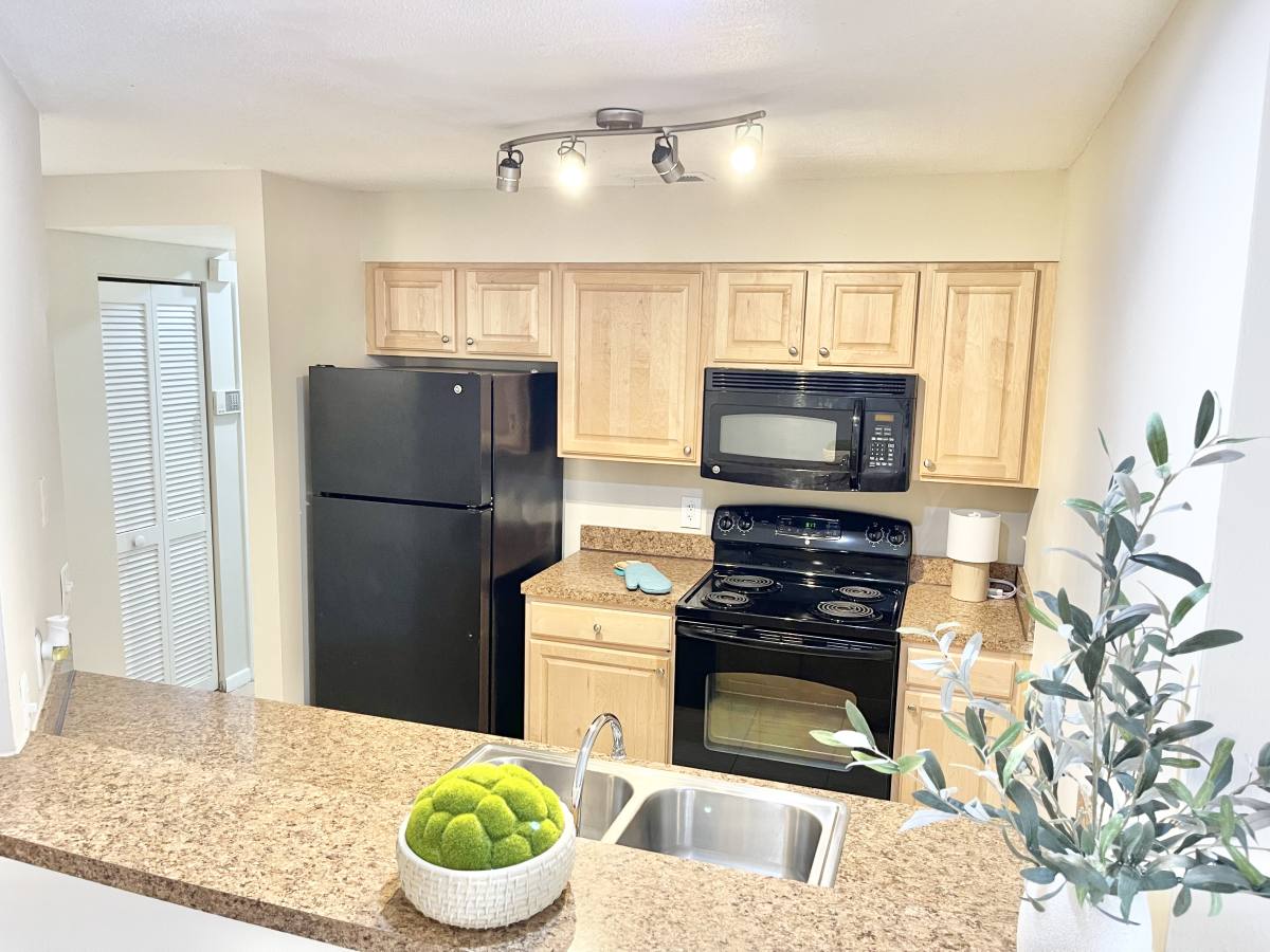 Condo for rent at 208 S Habana Ave, Tampa, FL 33609