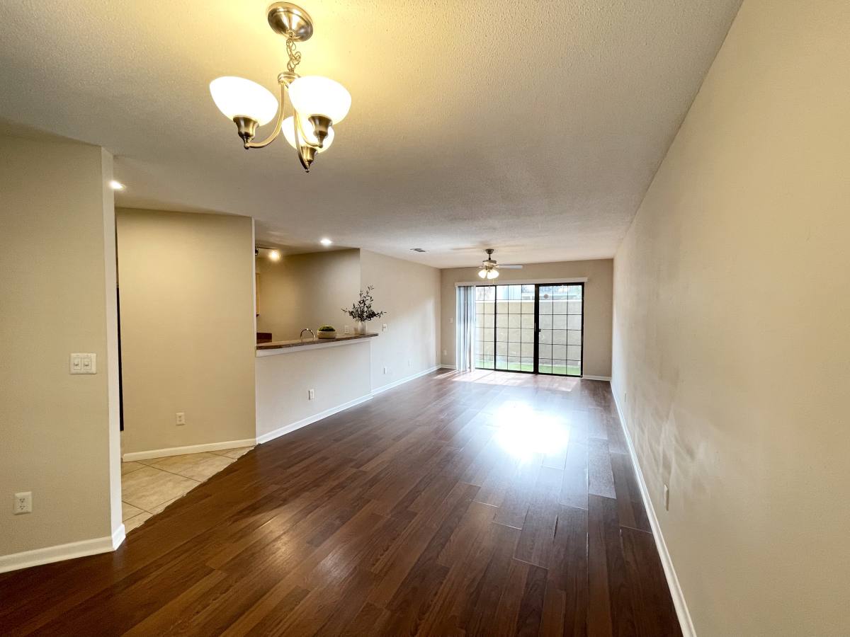 Condo for rent at 208 S Habana Ave, Tampa, FL 33609