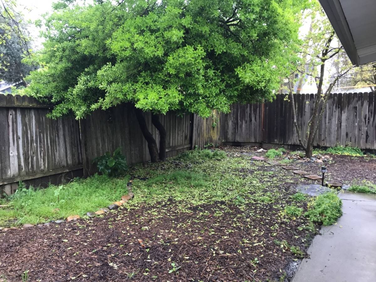 Apartment for rent at 515-517 K St, Davis, CA 95616