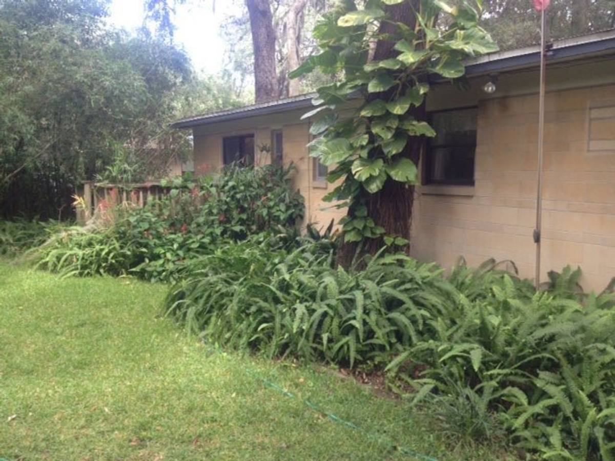 House for rent at 3966 Bess Rd, Jacksonville, FL 32277