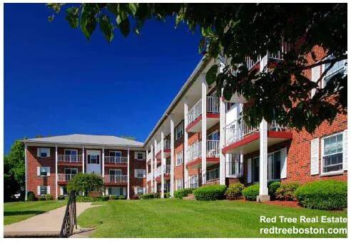 Apartment for rent at 8 Brattle Dr #5, Arlington, MA 02474