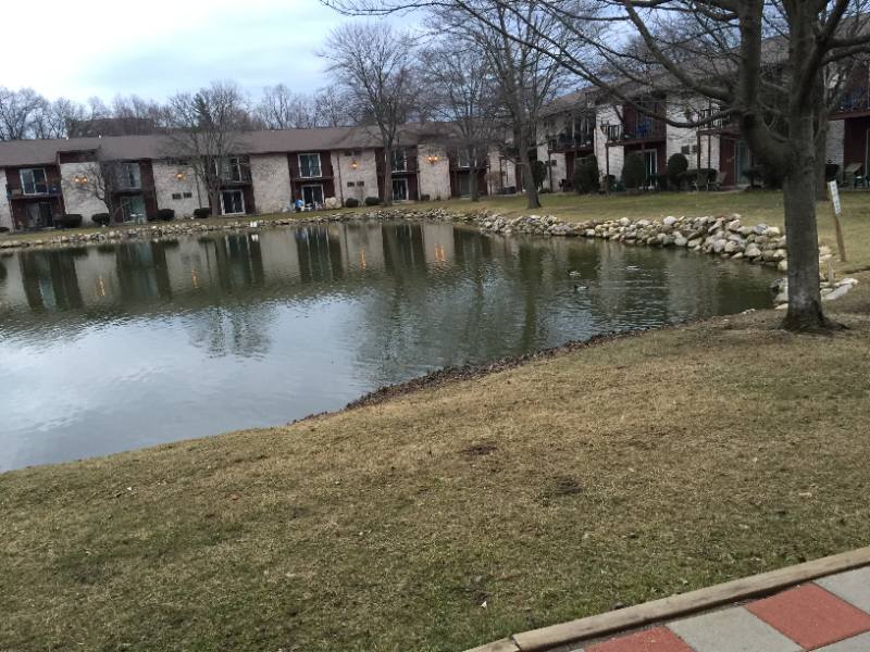 Condo for rent at 7350 Woodview Dr #1, Westland, MI 48186