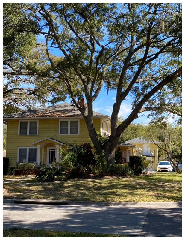 Apartment for rent at 203 N Dillard St #6, Winter Garden, FL 34787