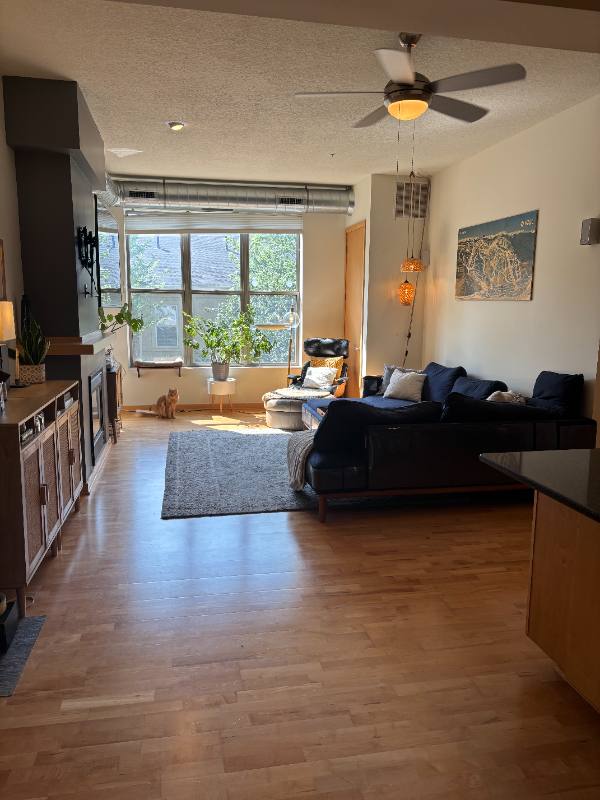 Condo for rent at 3640 Wooddale Ave S #207, Minneapolis, MN 55416