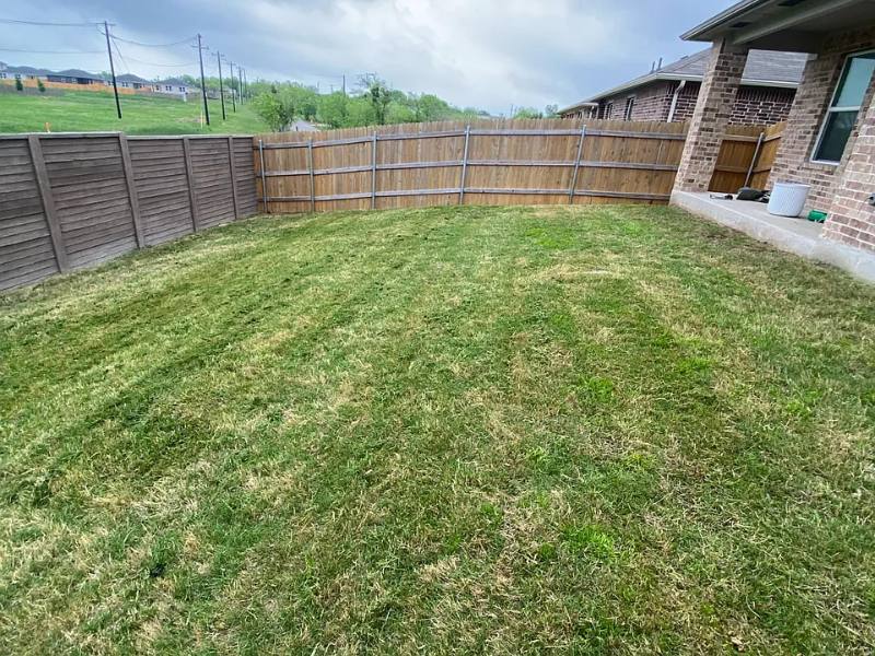 House for rent at 473 Apache Plum Dr, Kyle, TX 78640