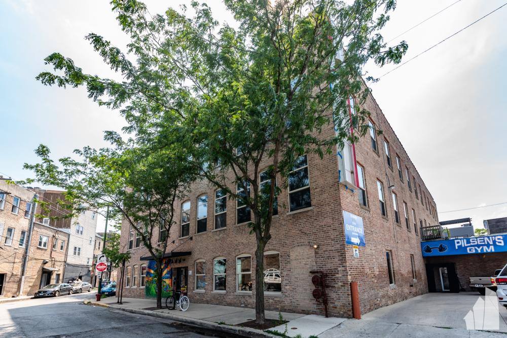 Apartment for rent at 1822 S Bishop St #209, Chicago, IL 60608