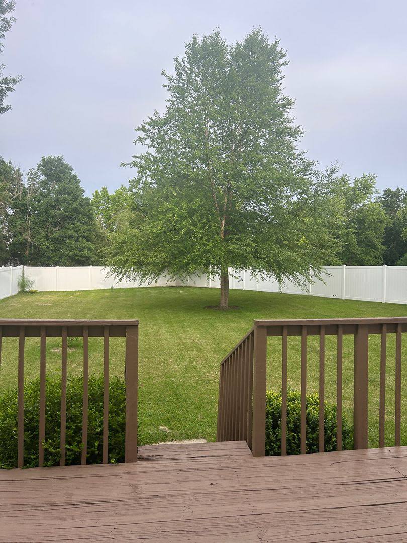 House for rent at 1493 Schwarz Meadow, O Fallon, IL 62269