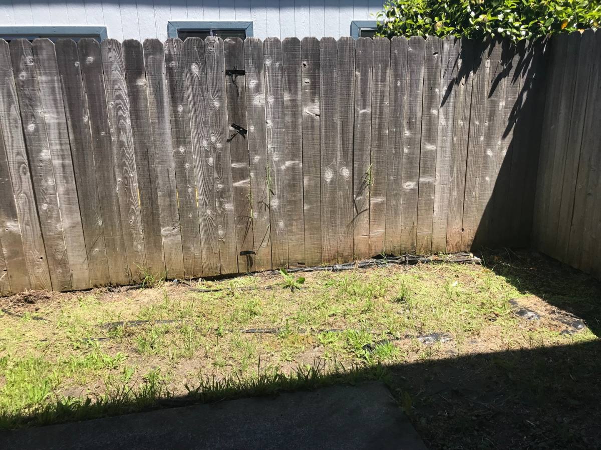 Apartment for rent at 1641 Foster Ave, Arcata, CA 95521