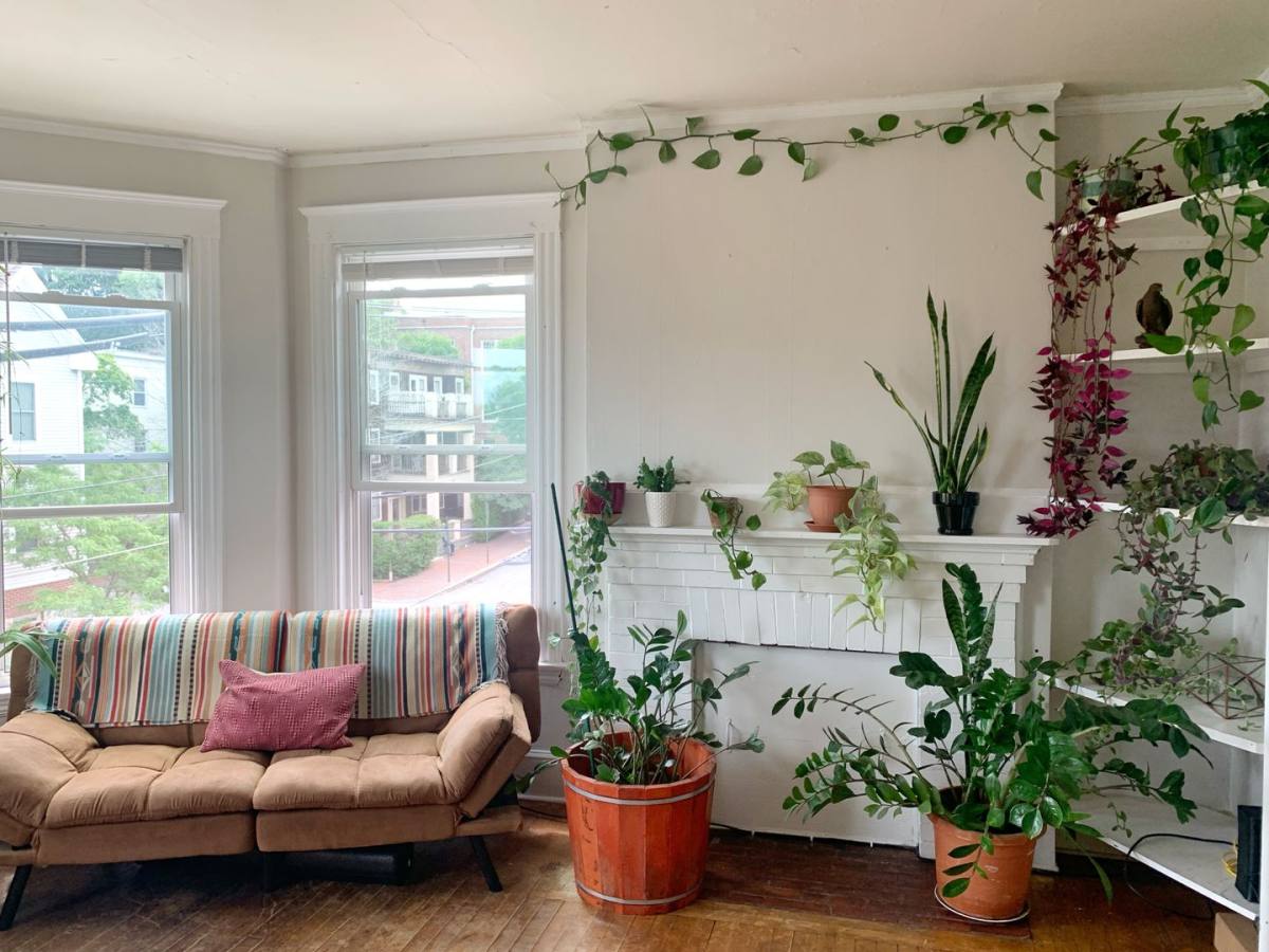 Apartment for rent at 94 Mellen St, Portland, ME 04101