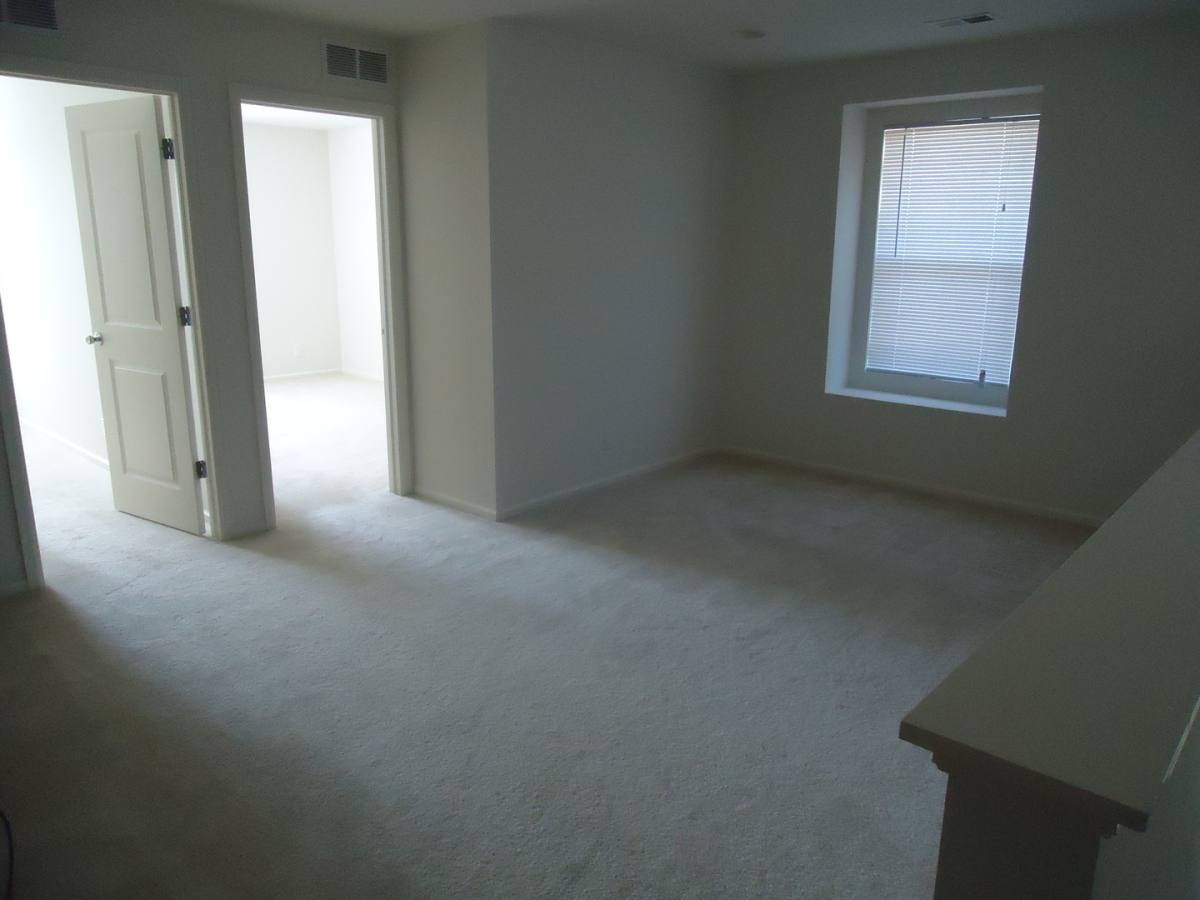 House for rent at 2672 Iola St, Denver, CO 80238