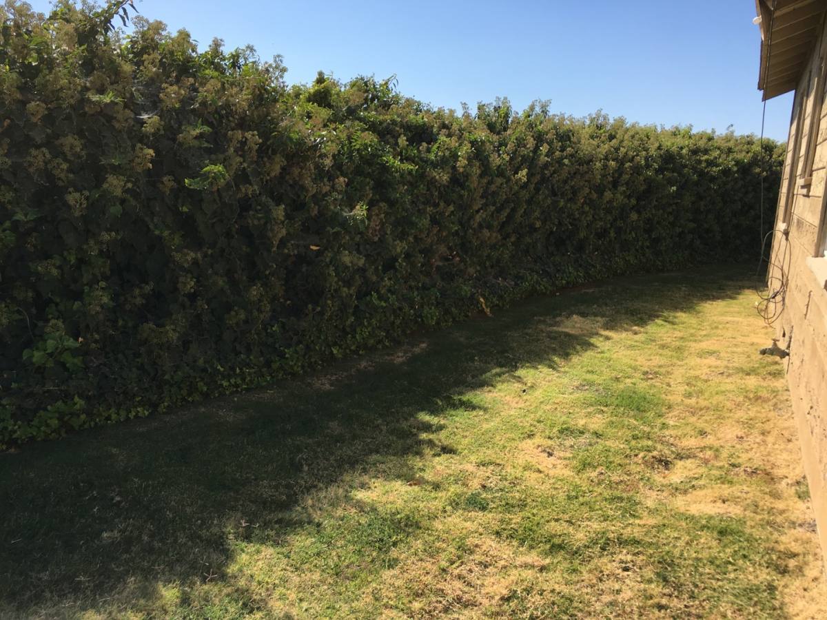House for rent at 10327 Linden Rd, Dos Palos, CA 93620