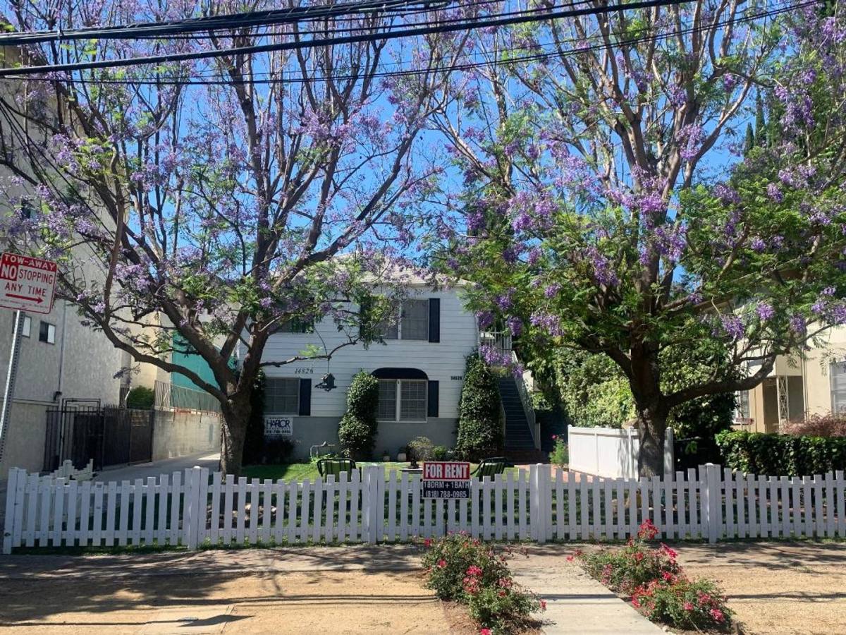 Apartment for rent at 14826 Dickens St, Sherman Oaks, CA 91403