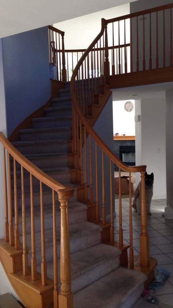 House for rent at 2701 Jewelstone Court, Fort Collins, CO 80525