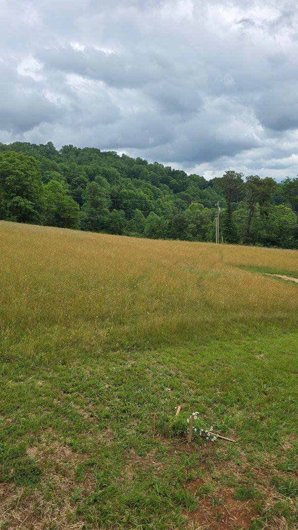 House for rent at 557 Monteith Branch Rd, Sylva, NC 28779