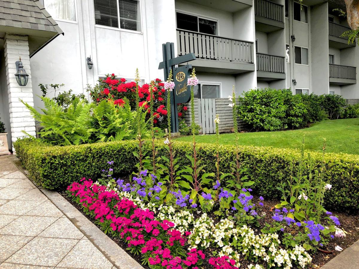Apartment for rent at 2645 California St, Mountain View, CA 94040