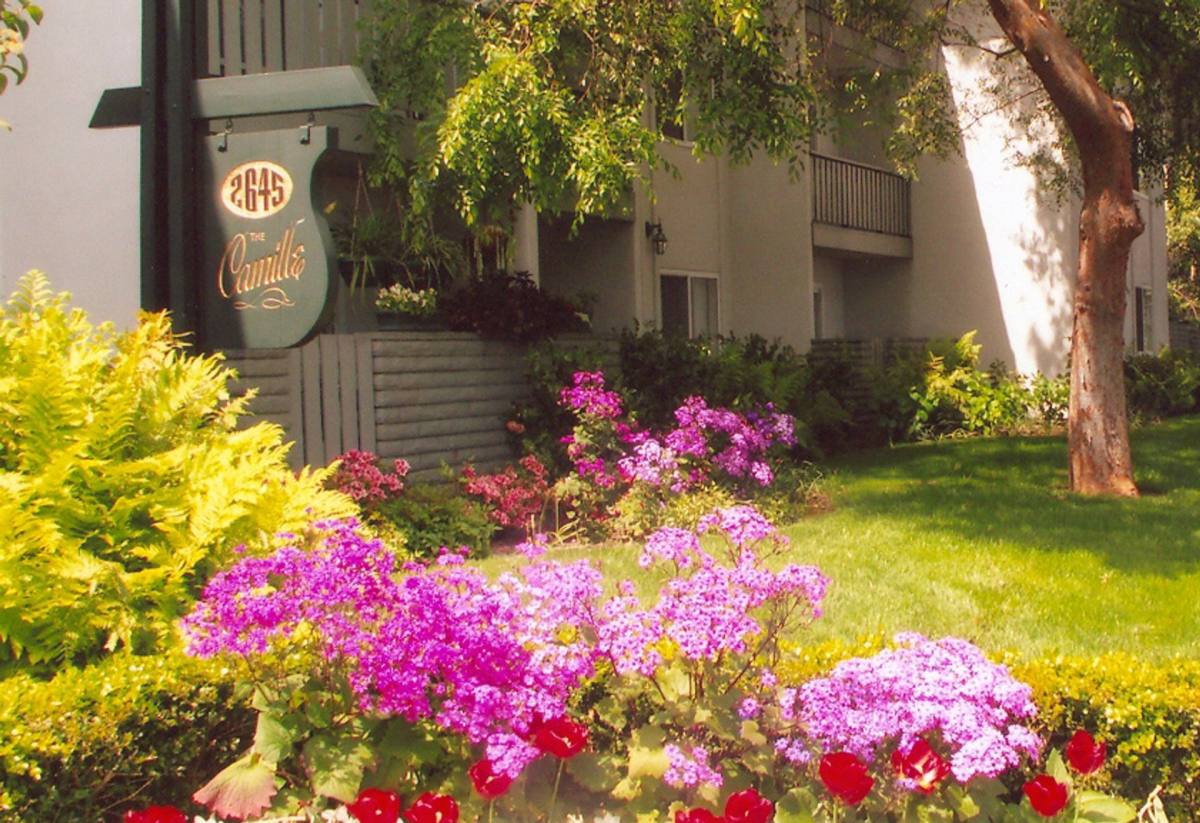 Apartment for rent at 2645 California St, Mountain View, CA 94040