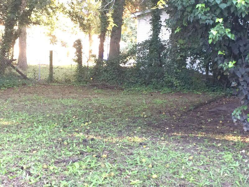 House for rent at 1931 Baxter St, Charleston, SC 29406