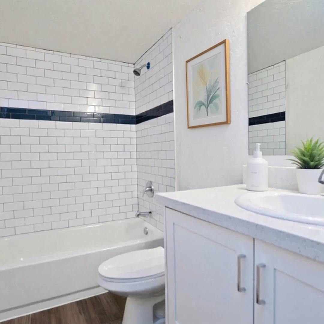 Apartment for rent at 2547 N 48th St, Phoenix, AZ 85008