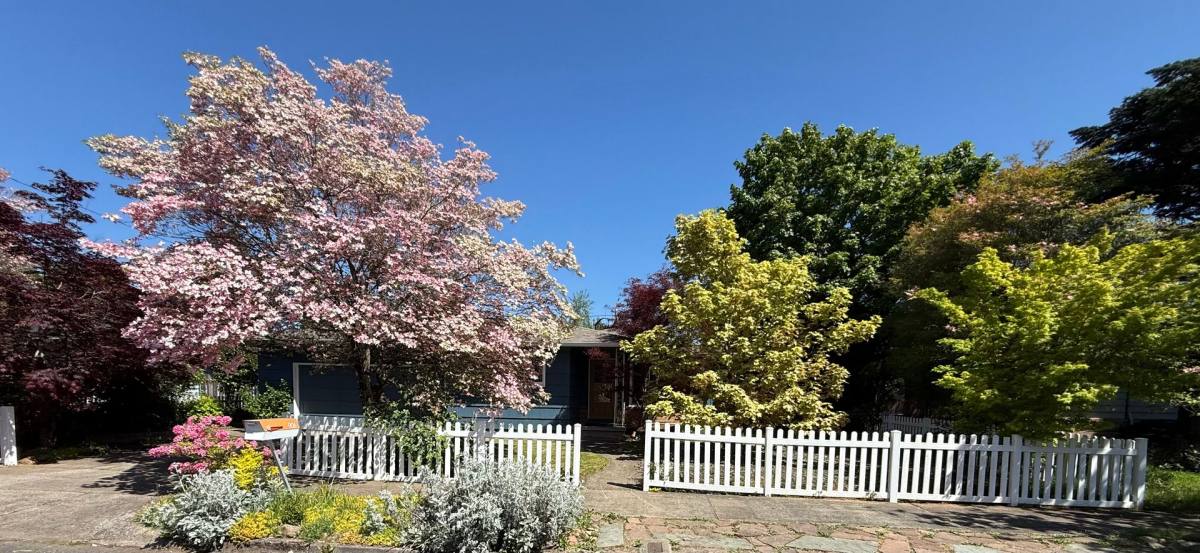 House for rent at 906 SE 165th Ave, Portland, OR 97233