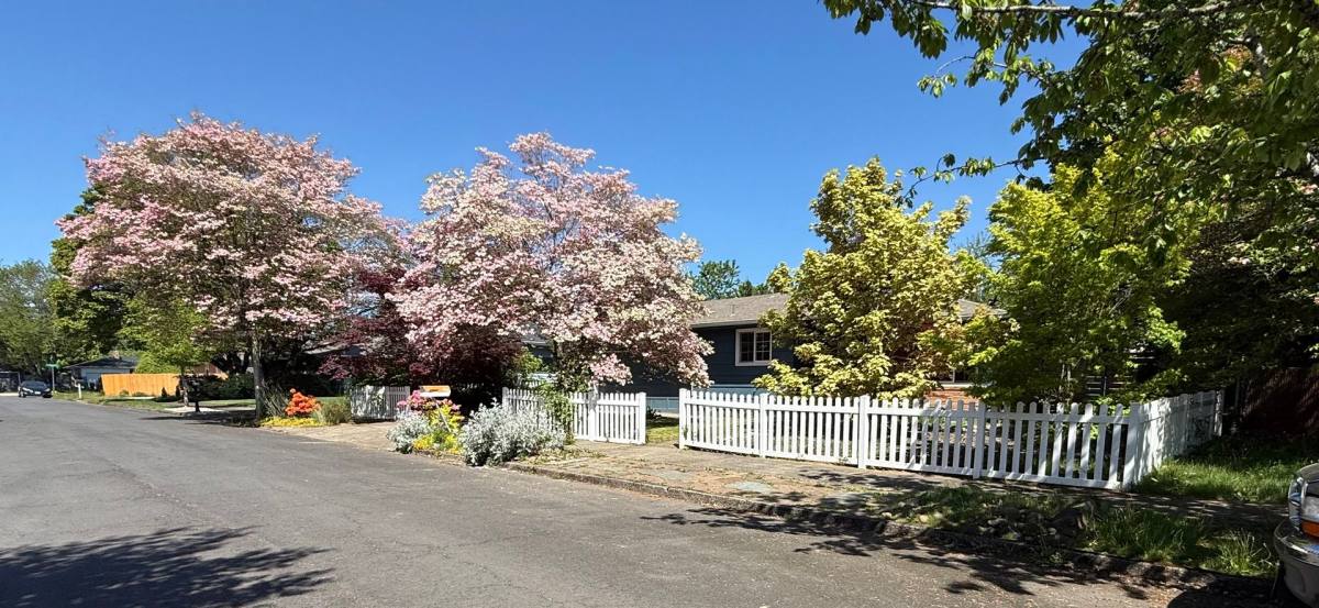 House for rent at 906 SE 165th Ave, Portland, OR 97233