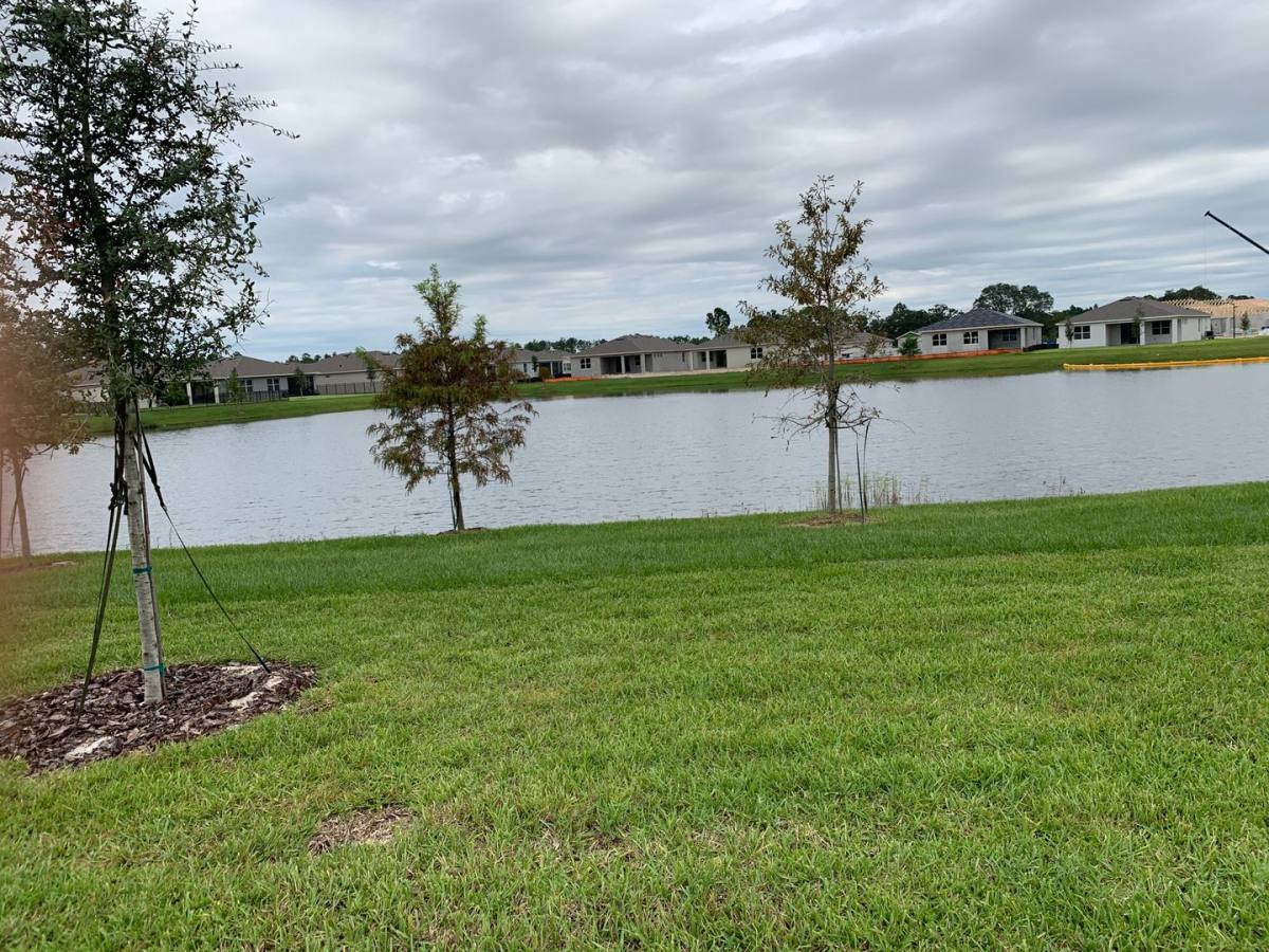 House for rent at 17841 Blazing Star Circle, Clermont, FL 34714