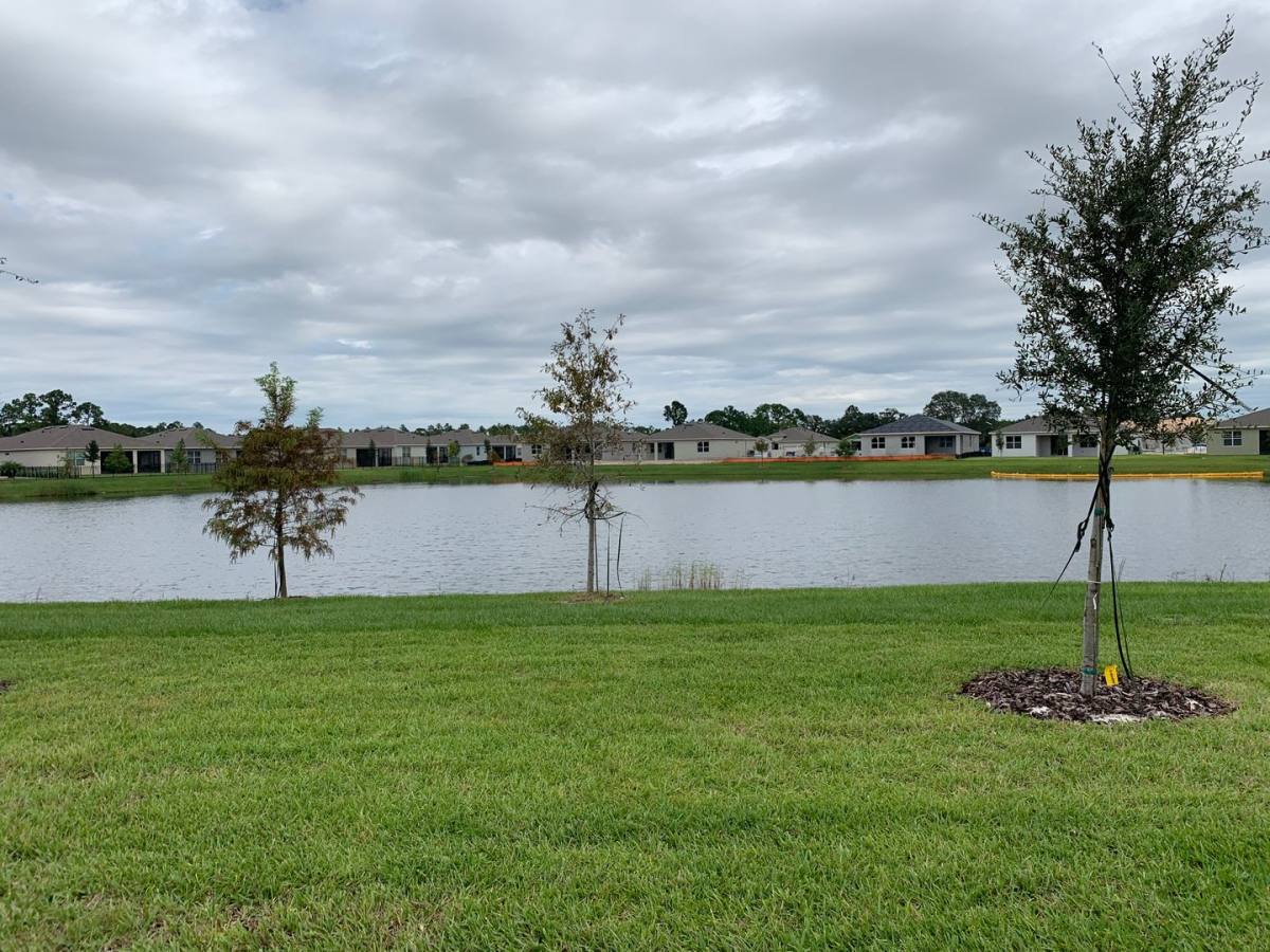 House for rent at 17841 Blazing Star Circle, Clermont, FL 34714