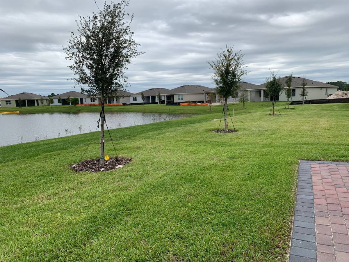 House for rent at 17841 Blazing Star Circle, Clermont, FL 34714