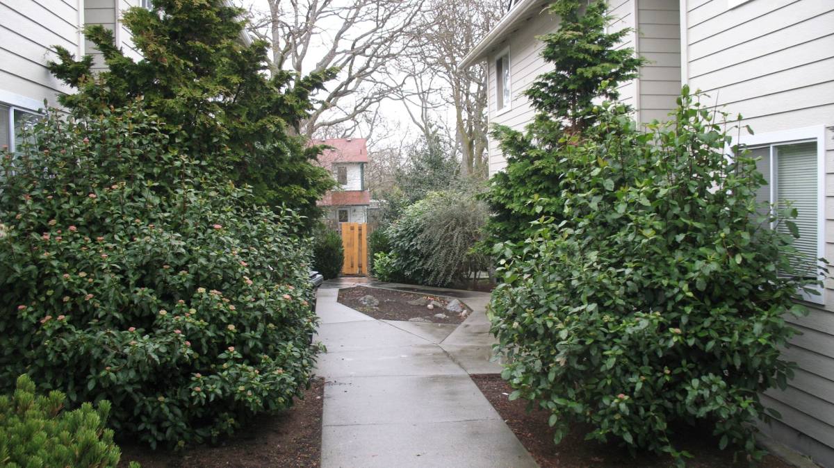 Apartment for rent at 950 Ireland, Oak Harbor, WA 98277