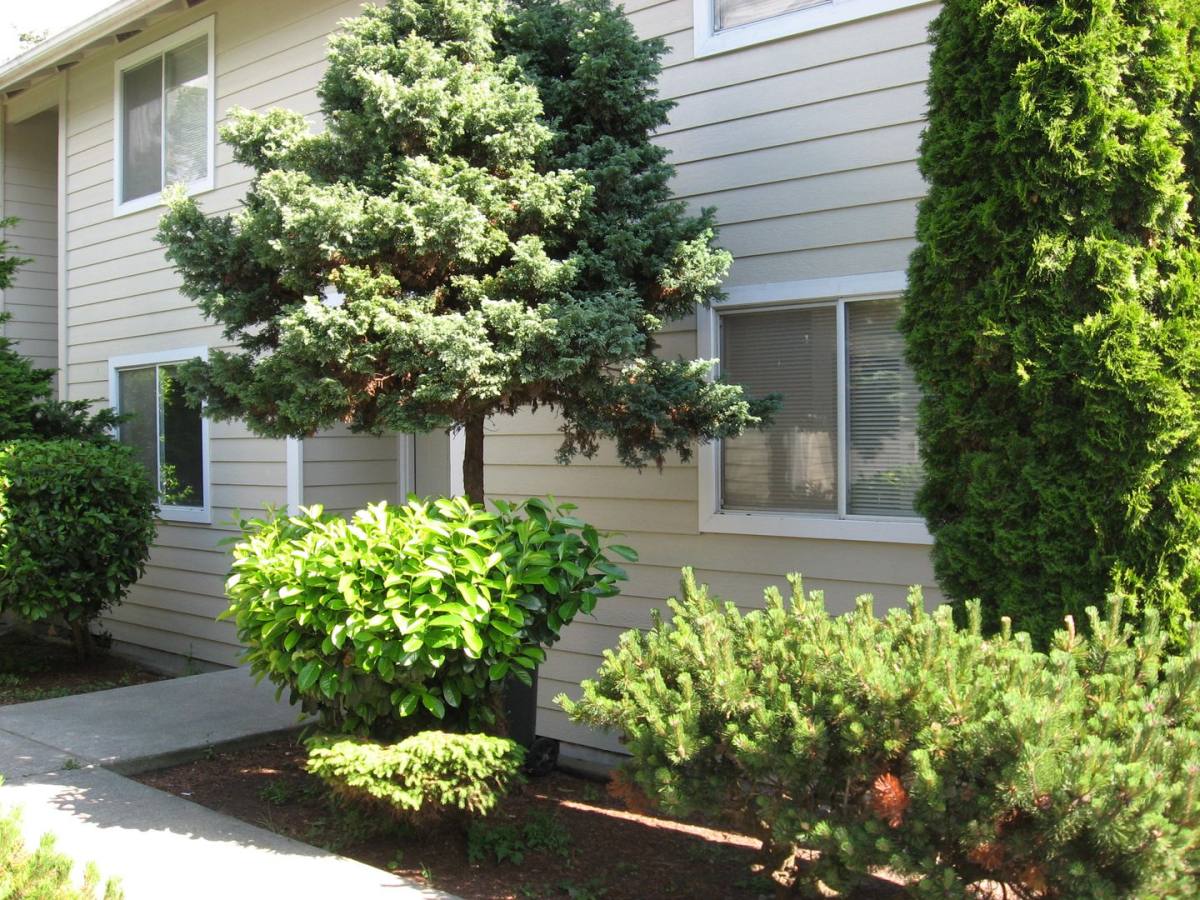 Apartment for rent at 950 Ireland, Oak Harbor, WA 98277